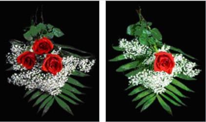 Dance Studio of Maine and DSM South FLOWER SALES